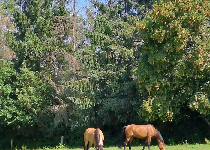 펜션 De La Chevrie La Baconniere