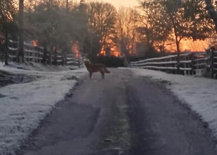 De La Chevrie 펜션 La Baconniere